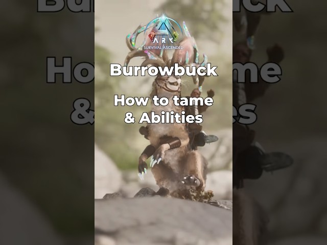 BRAND NEW Burrowbuck Rabbit In Ark Survival Ascended #ark #arksurvivalevolved #playark #tutorial