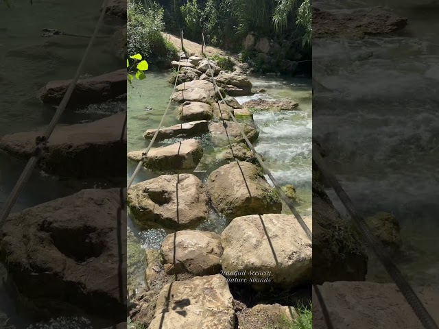 Rocky Bridge with Rob⛰️ Crossing Mountain River  #naturesounds #watersounds  #riversounds #rocks