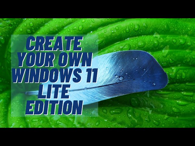 Create Your Own Windows 11 Lite Edition