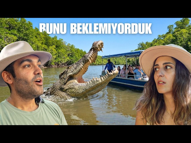 TİMSAH Dolu Bu Nehre Düşsen… Kaç Saniye Dayanabilirsin?