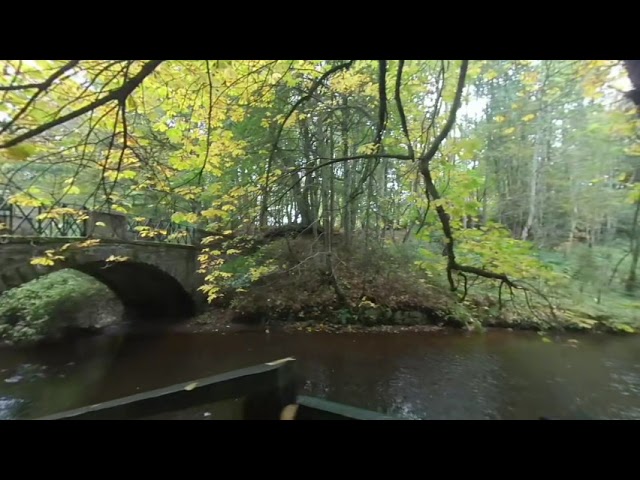 Quick walk in Aden Park 31 10 2021