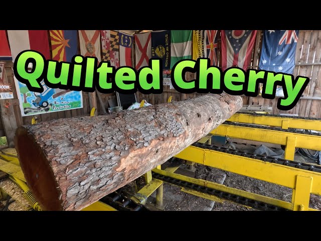 Sawing one beautiful quilted cherry log # 765