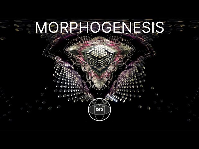 Morphogenesis [360 HDR 4K]