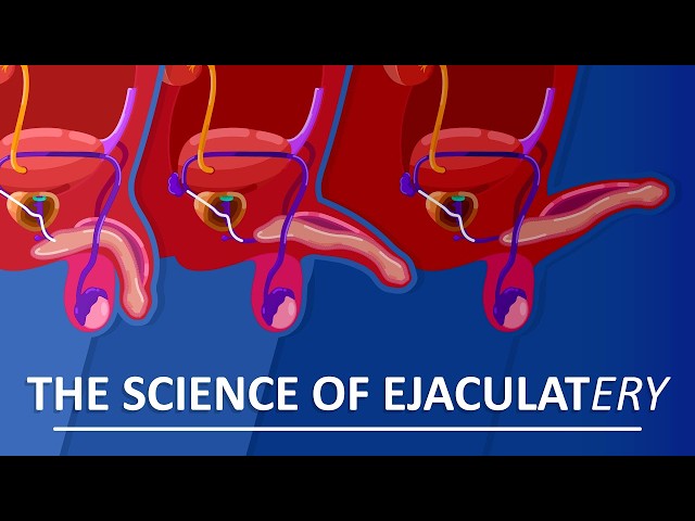 Behind The Sperm and Ejaculation