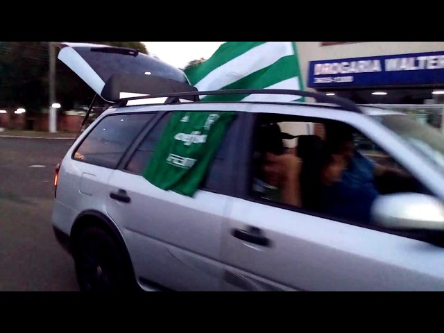 Palmeiras, Campeão Brasileiro 2018 - 359