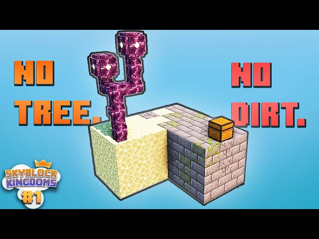 I Was Invited to The FIRST Skyblock SMP!
