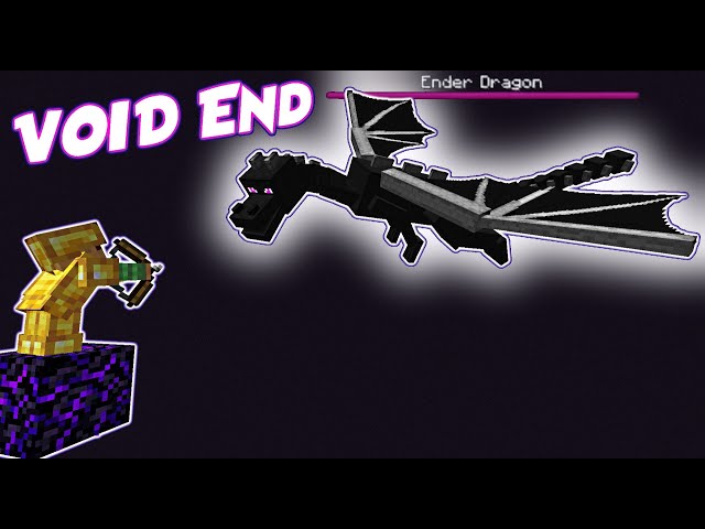 In Void Dragon Fight! [ProtoSky] EXTREME Nether Skyblock Ep.4