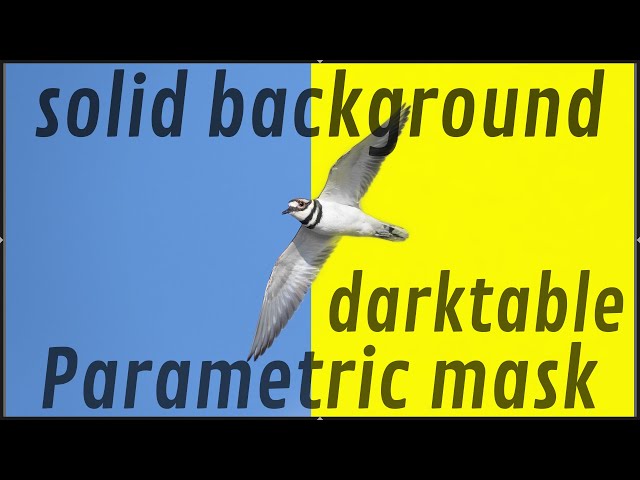Darktable tutorial: select a solid background with a parametric mask