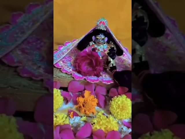 🎶 Lali Bhai ❤️ | दिल को छू जाने वाला प्यारा सा गाना ✨