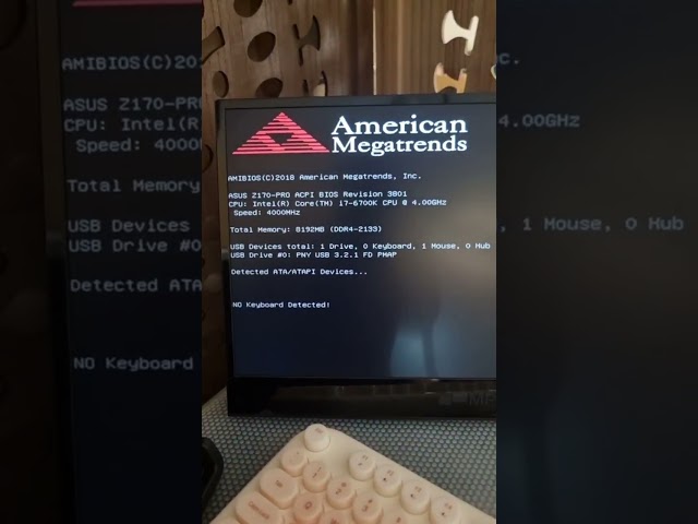 Nvidia 3090 GPU memory test
