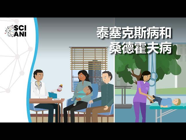GM2神经节苷脂沉积症, 包括泰塞克斯病和桑德霍夫病