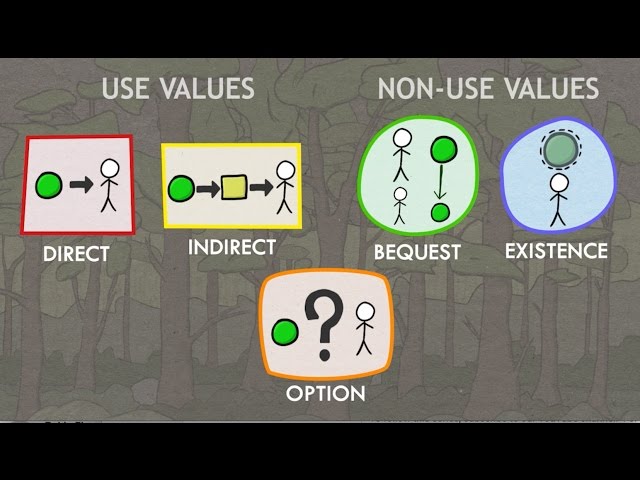 Valuation of Ecosystem Services: Classes of Values