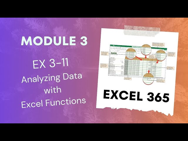 EX 3 11 Analyzing Data with Excel Functions