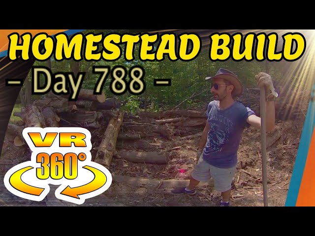 Homestead Building - Wood Pile Clearing Going Slowly, Lessons of Difficulties