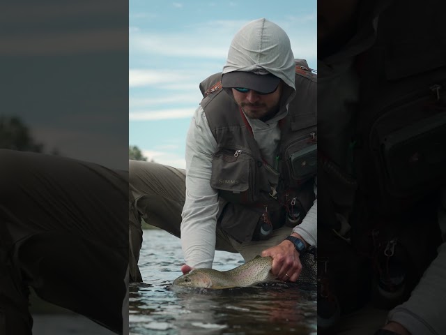 Trailer: The Salmonfly Project