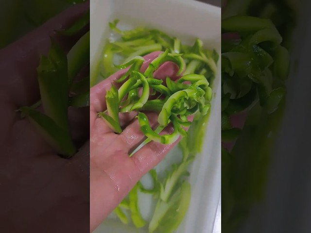 🥕🌸 AmazingVegetableCarving Ideas|Unique & Creative Vegetable Cutting Designs|EasyFoodArt Tutorial 🔪✨