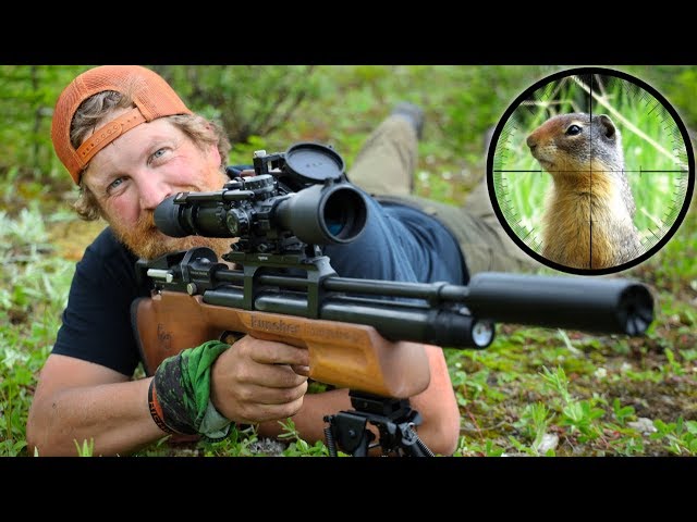 Air Rifle Hunting Ground Squirrels Catch & Cook Day 12 of 30 Day Survival Challenge Canadian Rockies