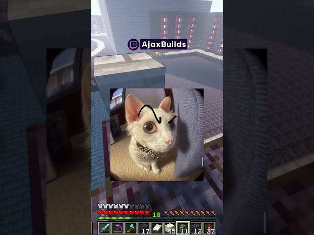 Me Quieren Quitar la Mega Pirámide😿 #minecraft  #shorts