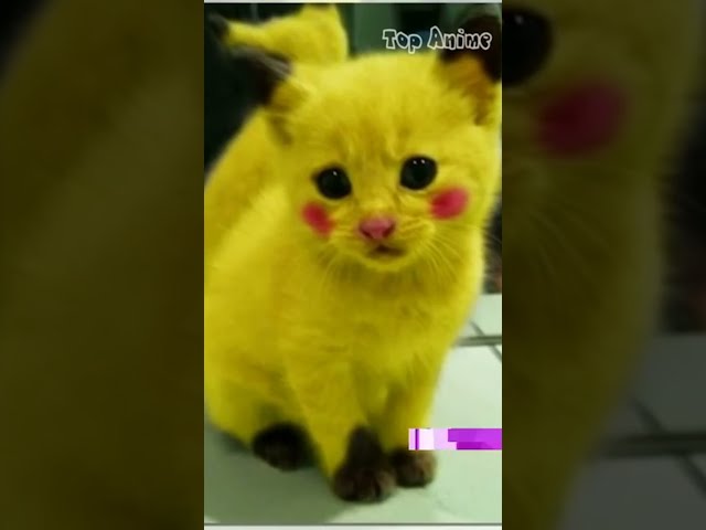 PIKACHU IN REAL LIFE! #shorts