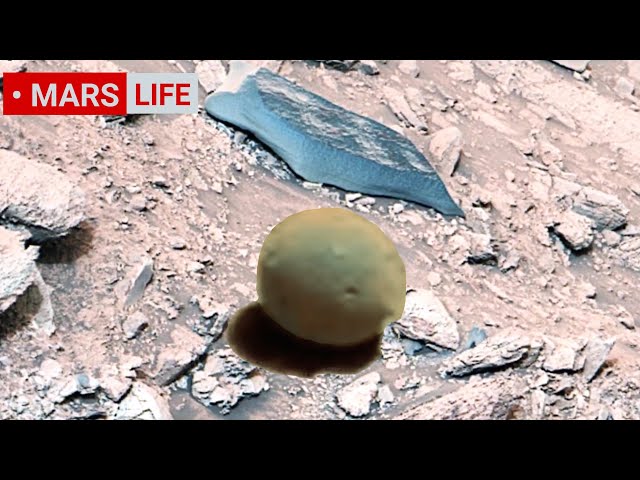 NASA Mars Rover Sent Most Incredible Footage of Mars Life? Perseverance and Curiosity rover 4K Mars