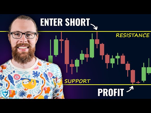 The Ultimate Short Selling Guide - Everything You Need to Know About Shorting