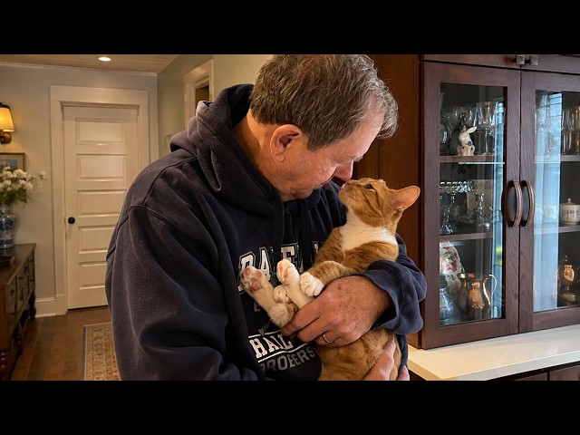 Dad Thought He Adopted a Cat… But the Cat Adopted Him❤️