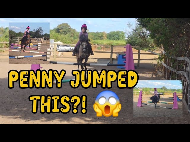 I Can’t Believe Penny Jumped This! 😱 | All 3 Ponies Jumping!