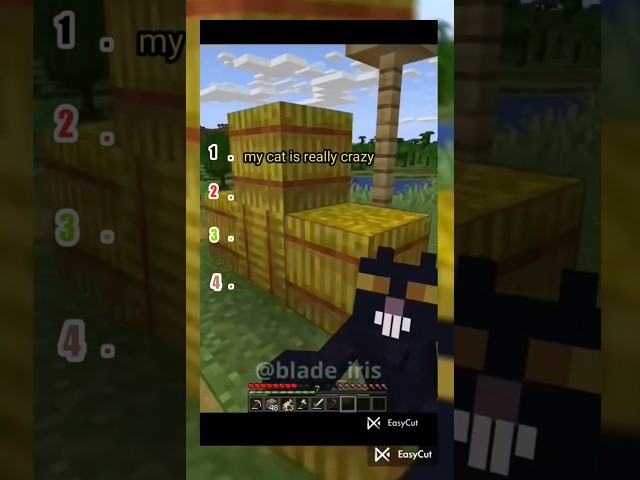 Minecraft ranking Shorts part.11 #satisfying #shortsfeed #trending #shortvideo