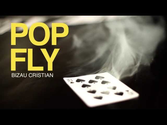 Pop Fly by Bizau Cristian : The Blue Crown