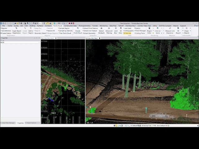 Tree Extraction and Labeling from Scan Data