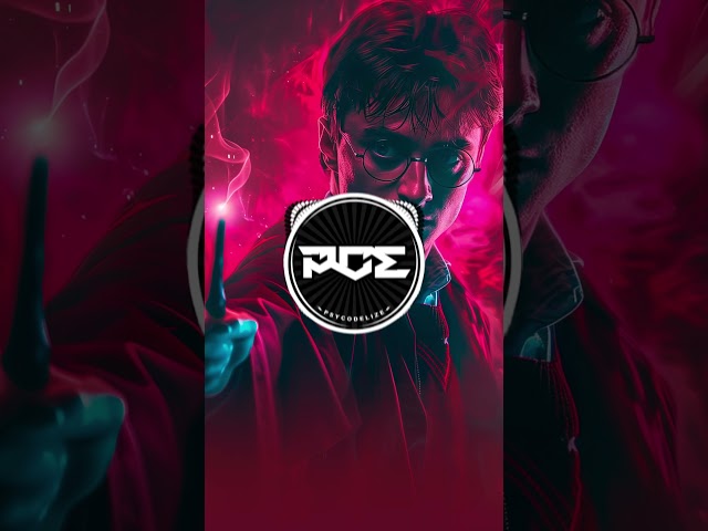 Harry Potter - Hedwig's Theme (Psytrance  Remix)