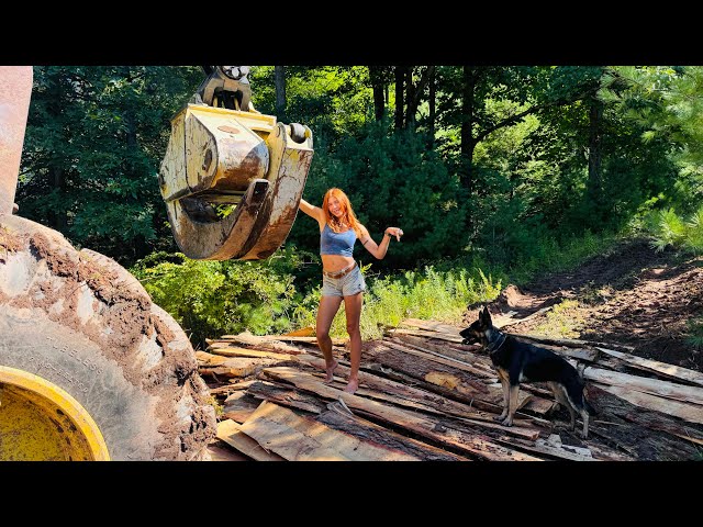 Swamp Loggers 2.0