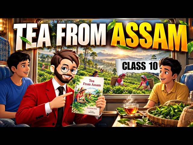 Tea From Assam Class 10 | Animated | Glimpses of India Part 3 (In Hindi) | Tea From Assam