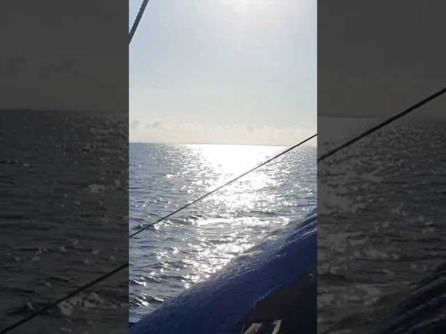 3-second Video