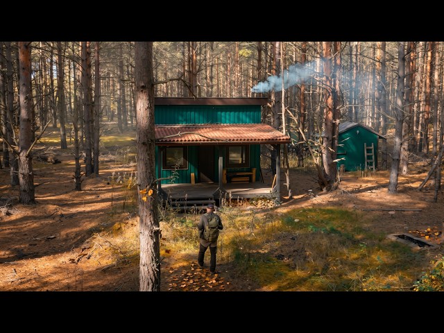 Finding Peace: Simple Life in an Off-Grid Cabin Lost in the Woods