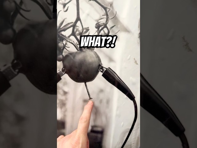 L. Ron Goes Full Psycho on a Helpless Tomato