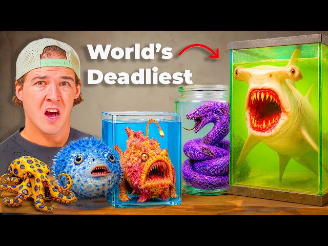 Buying Every Dangerous Fish Nobody Should Ever Own...