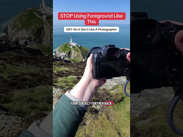 DAY 46 of See It Like A Photographer