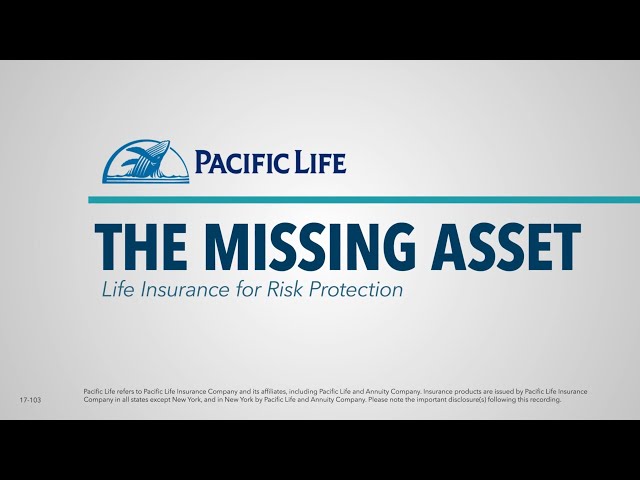 The Missing Asset: Life Insurance for Risk Protection