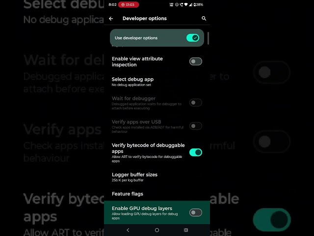 How to Enable GPU Debug Layers on Android
