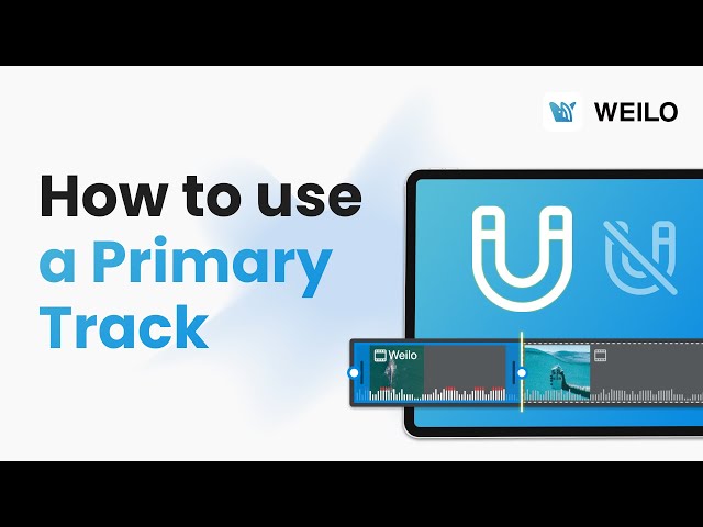 How to use a Primary Track | Basic Tutorial 02