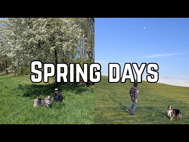 Springs days-tornado, plants and pokopia