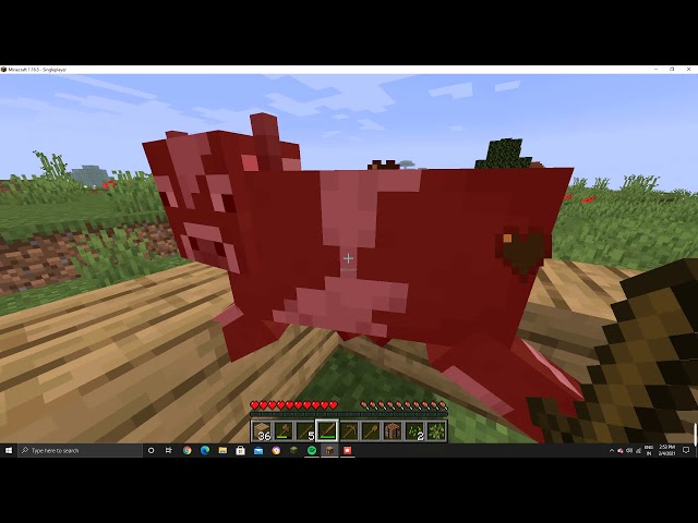 Minecraft Java Edition gameplay survival series # 1