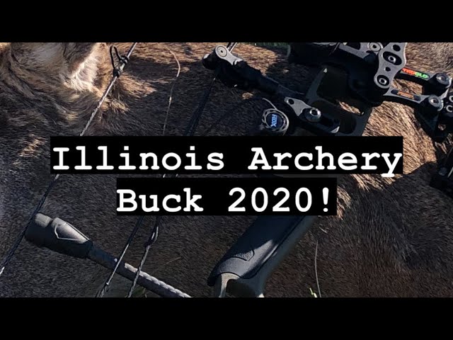 BIG BRUISER Illinois Buck! 2020 WHITETAIL ARCHERY buck down!