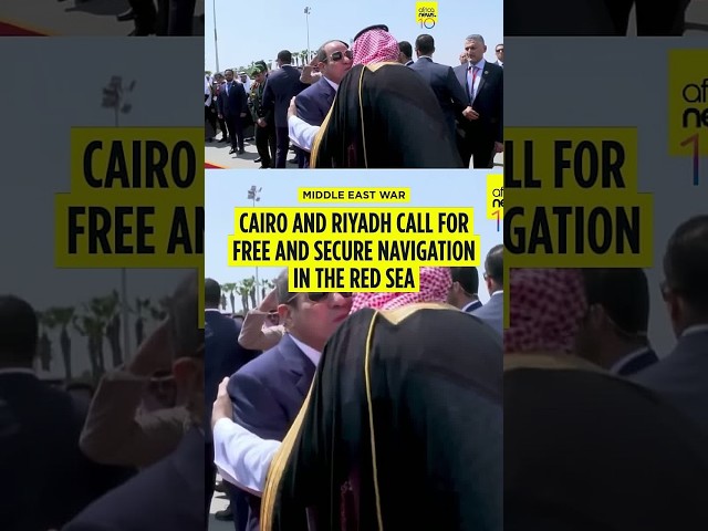 Riyadh and Cairo call for free and secure shipping in Red Sea
