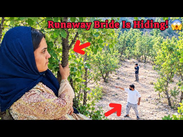 🚨😱 Runaway Bride; Wild Brother Chasing Her! Escape in the Mountains 🏔️