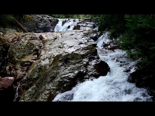 💧 Weeks Falls Nature Film | Raw Power Meets Calm Forest