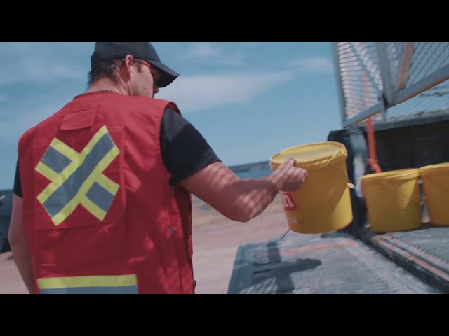 Champions For A Greener Future - Georges Brook - Milton