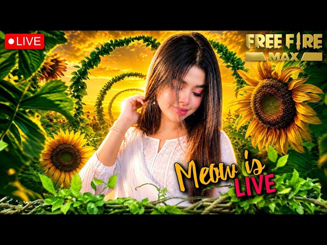 Free Fire Max LIVE  Meow Yt Live || Road To 1M   🎯|| Booyah!  ❤  #freefirelive #shortfeed