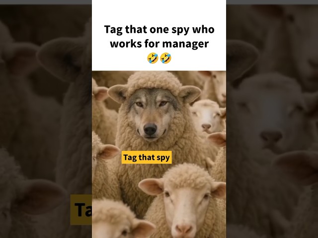Tag that spy #ytshorts #viralshorts #corporatelife #memes #comedy